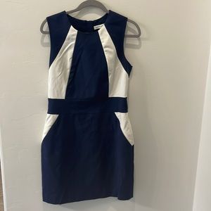 Banana Republic Blue and White Dress